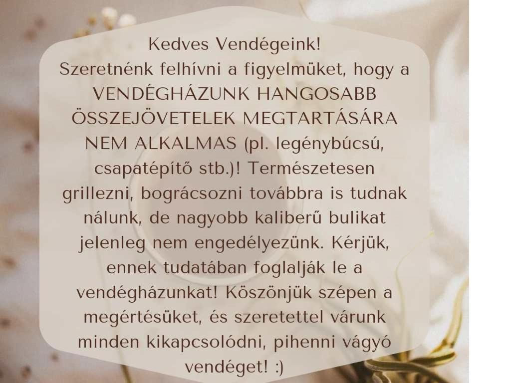 Sokristaly Vendeghaz Hotel Demjén Екстериор снимка